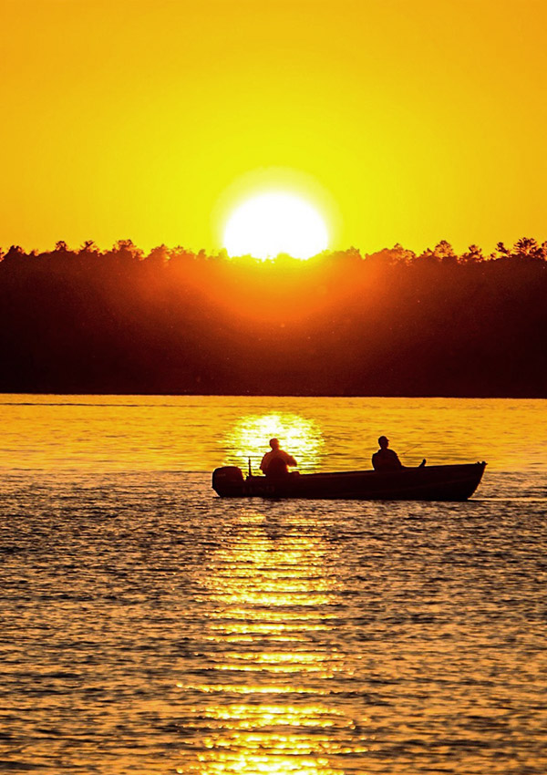 Investment Management in Minnesota