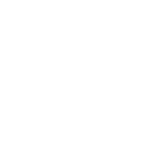 Nicollet Investment Management Logo White
